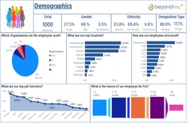 Leading Canadian technology company gets HR analytics dashboards